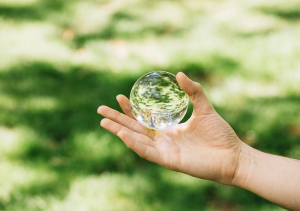 Biến Đổi Khí Hậu Và Hành Động Cấp Bách