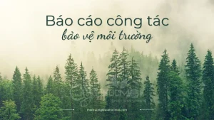 Báo cáo công tác bảo vệ môi trường