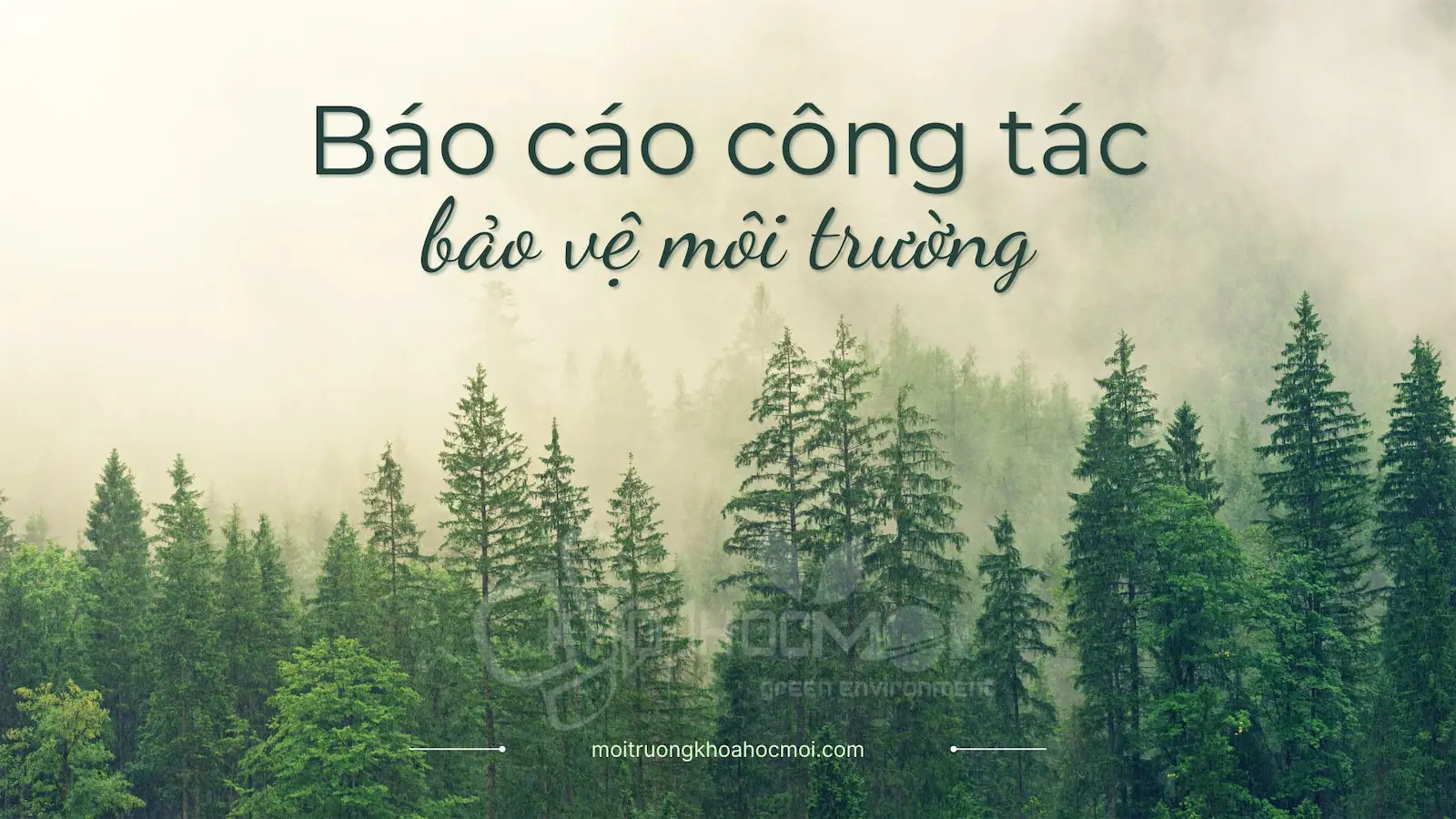 Bao-cao-cong-tac-bao-ve-moi-truong