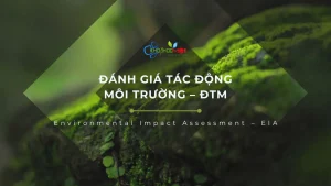Đánh giá tác động môi trường – ĐTM