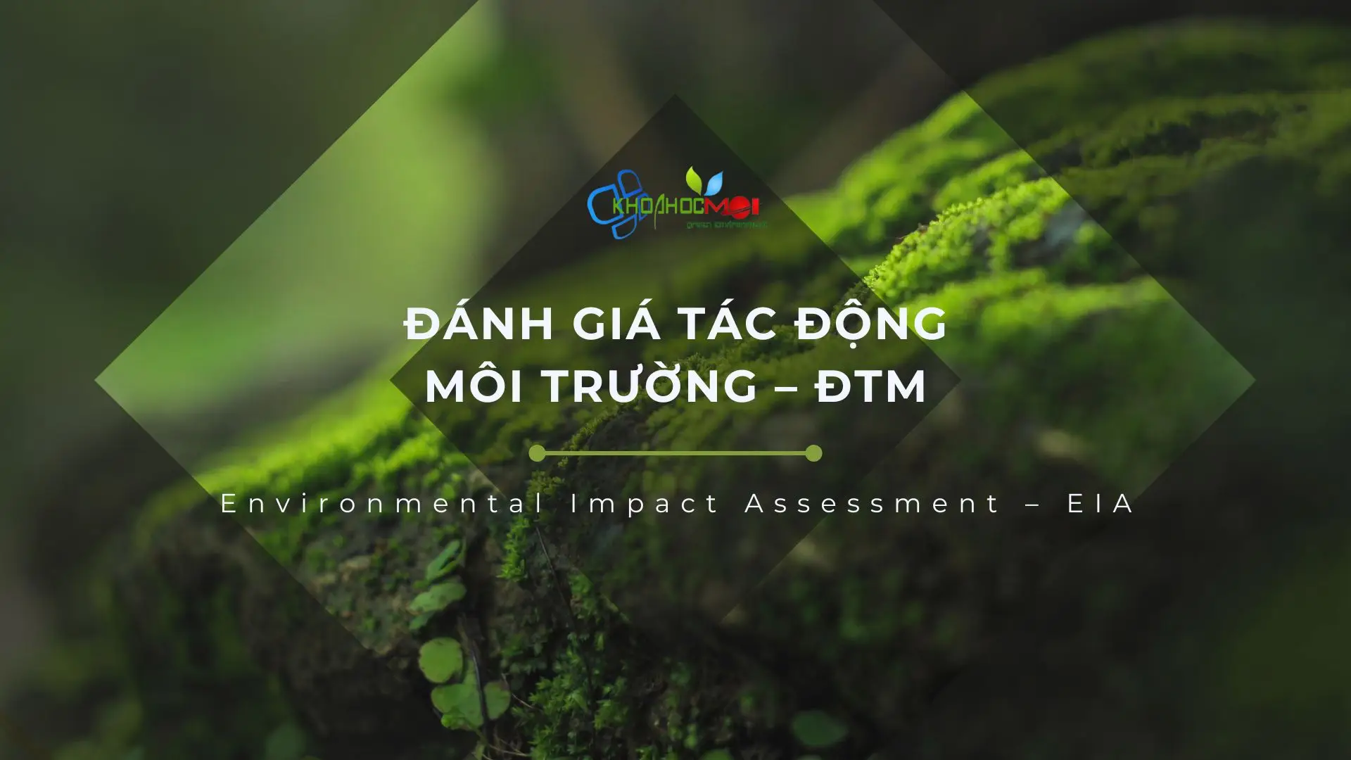 Danh-gia-tac-dong-moi-truong-DTM