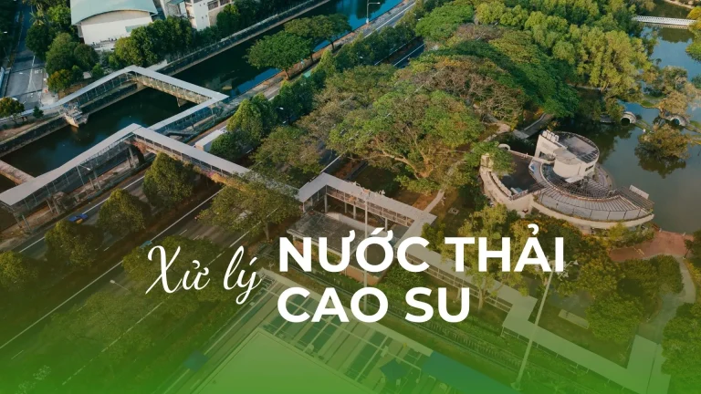 he-thong-xu-ly-nuoc-thai-cao-su