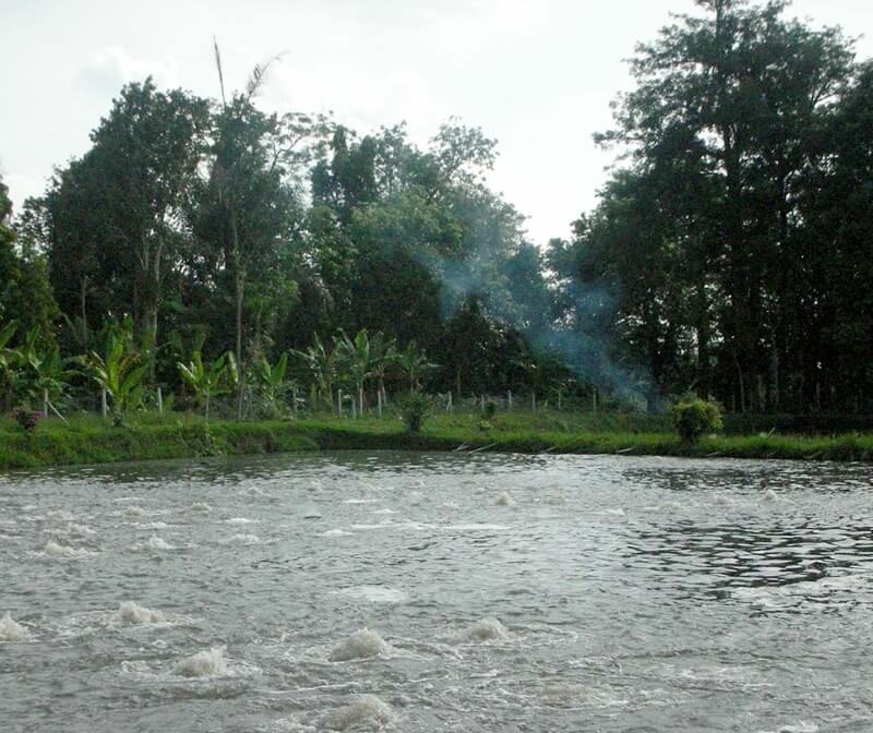 quy-trinh-he-thong-xu-ly-nuoc-thai-tai-Khoa-Hoc-Moi