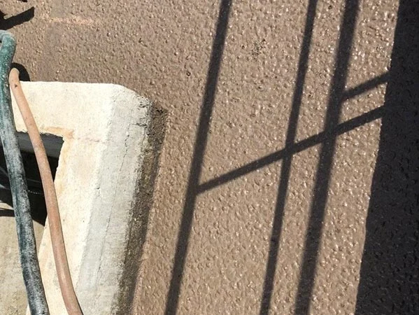 bun-noi-ben-trong-be-lang