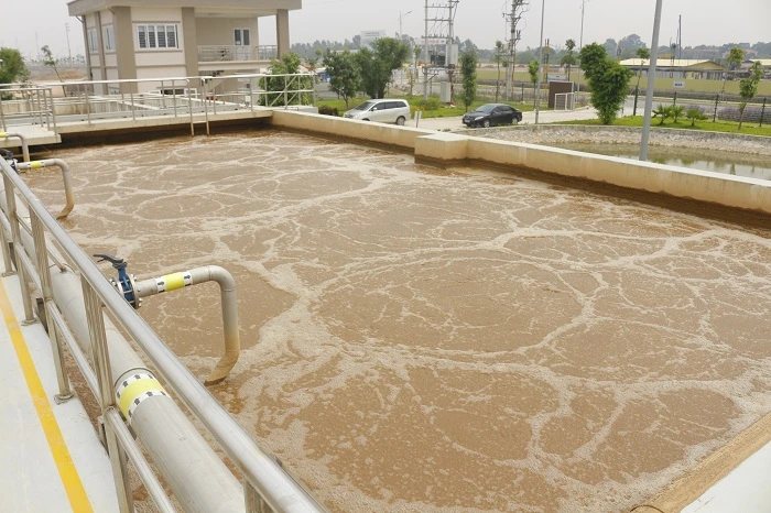 bun-vi-sinh-la-gi-vai-tro-va-ung-dung-trong-xu-ly-nuoc-thai