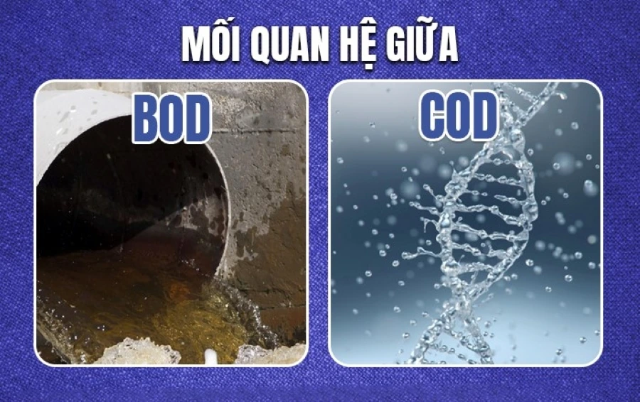 moi-quan-he-giua-bod-va-cod