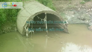Xử lý nước thải chứa xyanua: Đặc điểm ô nhiễm và giải pháp kỹ thuật