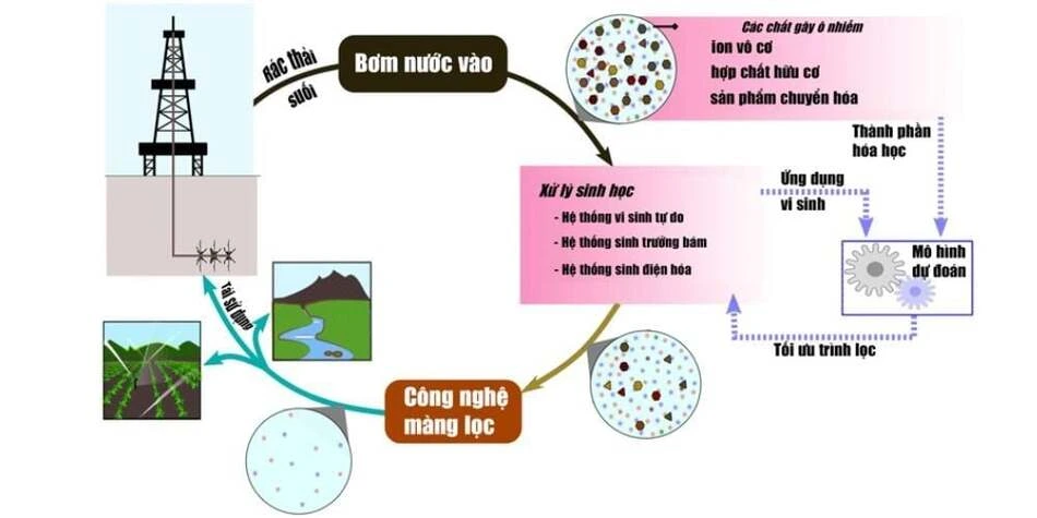 phuong-phap-xu-ly-nuoc-thai-bang-sinh-hoc