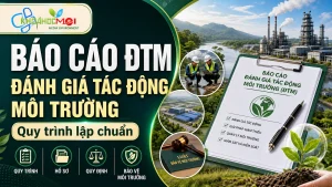 Báo cáo đánh giá tác động môi trường (ĐTM): Quy trình, hồ sơ và quy định mới nhất