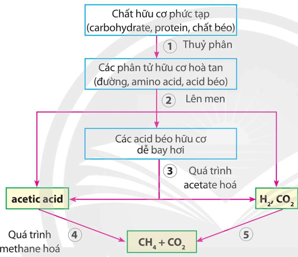 cac-giai-doan-qua-trinh-phan-huy-ky-khi