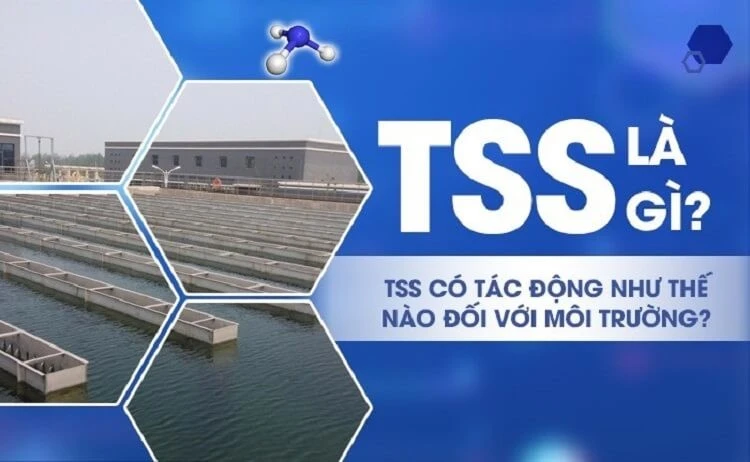 chi-so-tss