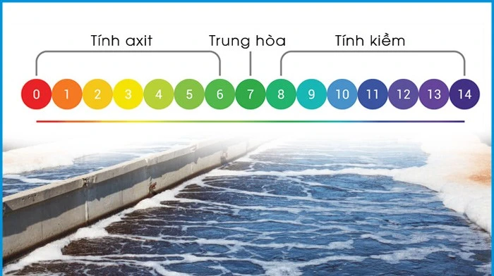 do-ph-anh-huong-den-su-phat-trien-cua-vi-sinh-vat
