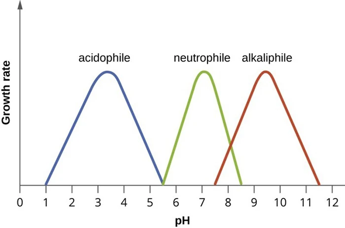 do-ph-trong-qua-trinh-phan-huy-ky-khi