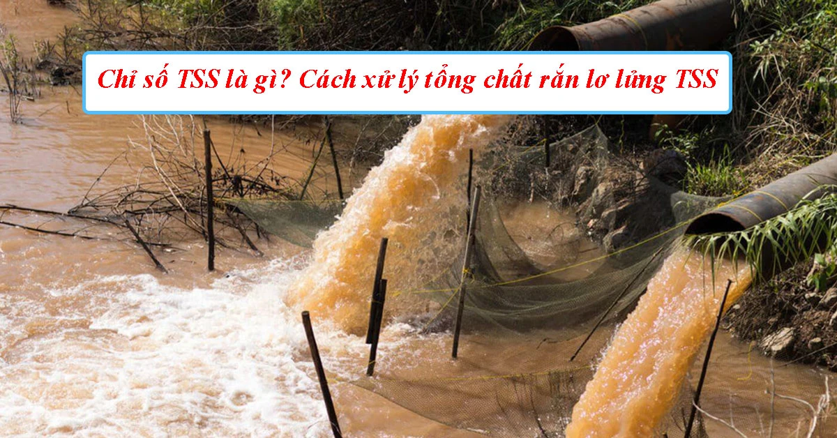 khai-niem-chi-so-tss-la-gi_