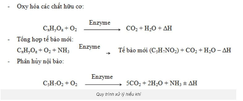 oxy-hoa-cac-chat-huu-co