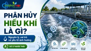 Phân hủy hiếu khí là gì? Nguyên lý, vai trò và yếu tố ảnh hưởng trong xử lý nước thải