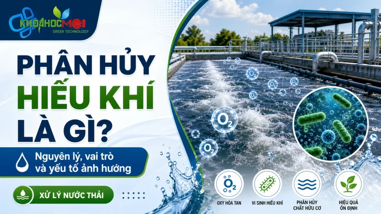 phan-huy-hieu-khi-la-gi-nguyen-ly-vai-tro-va-yeu-to-anh-huong-trong-xu-ly-nuoc-thai