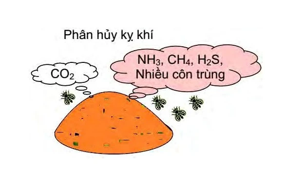 phan-huy-ky-khi