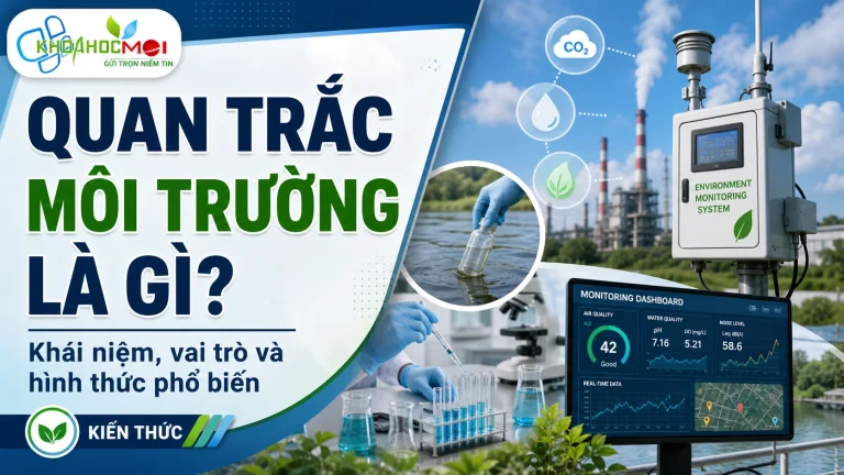 quan-trac-moi-truong-la-gi-khai-niem-vai-tro-va-cac-hinh-thuc-quan-trac-pho-bien